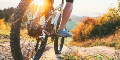 Bumps und Flows auf den besten Mountainbike Strecken in Deutschland Nahaufnahme eines Mountainbikes