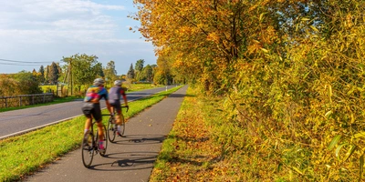 Fahrradfahrer fahren auf einem Radweg in der Natur