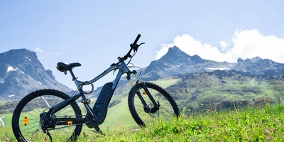 Ein E-Bike steht auf einer grünen Wiese