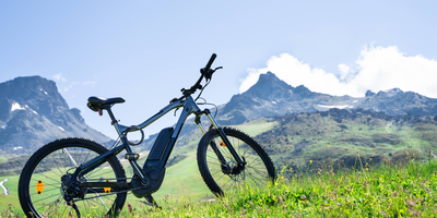 Ein E-Bike steht auf einer grünen Wiese