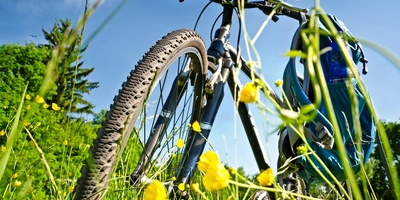 Fahrrad steht auf einer Blumenwiese
