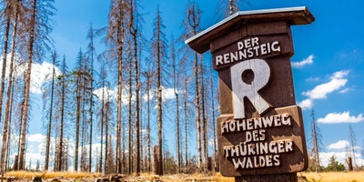 Rennsteigs zwischen Brotterode und Eisenach