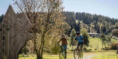 zwei Fahrradfahrer fahren durch Wiese über Radweg