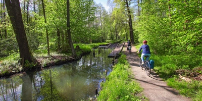 Radelnde fahren auf einem Radweg durch den Spreewald in Brandenburg