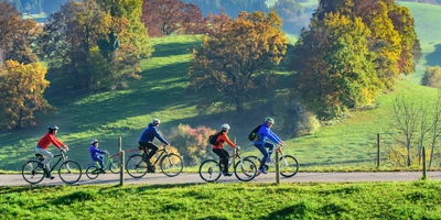 Mehrere Personen fahren Fahrrad im Wald