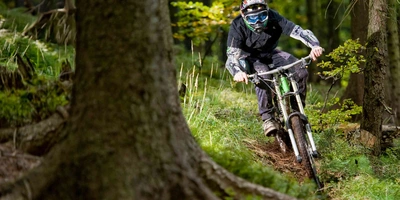 Mann mit Schutzausrüstung fährt bergab durch Wald auf Mountainbike.