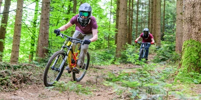 Zwei Personen fahren mit Mountainbike durch den Wald.