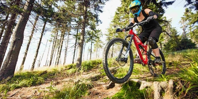 Mann fährt Waldstrecke mit Mountainbike herunter.