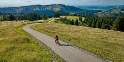 E-Bike KTM Test 2026: Entdecke alle Neuheiten! Radfahrer auf abschüssigem Weg durch grüne Hügel und Wälder unter blauem Himmel.