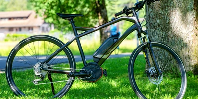 E-Bike verkaufen – was ist dabei zu beachten? Zu verkaufendes E-Bike steht auf Grünfläche vor Baum.