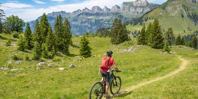 Eine Person fährt mit ihrem Fahrrad einen schmalen Radweg durch die schweizer Landschaft. Grüne Wiesen sind zu sehen und Bäume. Im Hintergrund sind Berge und Täler.