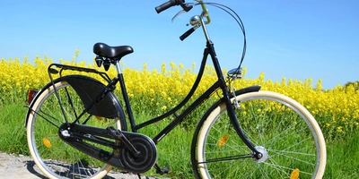 Hollandrad in der Natur 