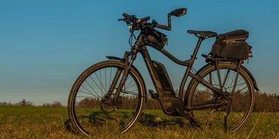 Abgestelltes E-Bike steht auf einer Wiese