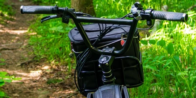 Fahrrad Lenkertasche Test: Die besten Modelle im Vergleich Schwarz lackiertes Fahrrad mit Körbchen, umgeben von üppigem grünen Unterholz.