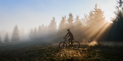 Radfahrer im Nebel, Sonnenstrahlen durch Bäume scheinen auf die Szenerie.