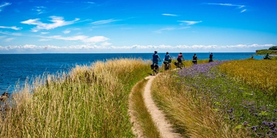 Die schönsten Radwege auf Fehmarn Menschen gehen auf einem Weg entlang einer Küste mit blühenden Wiesen.