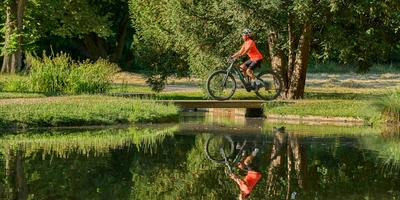 Frau fährt im Wald Fahrrad