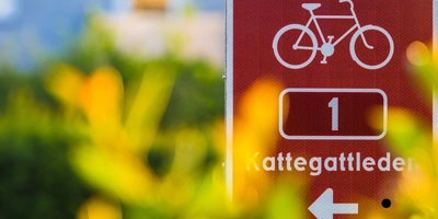 Kattegattleden – die Traumroute an Schwedens Küste Radwegweiser mit der Nummer 1, umgeben von unscharfem grünen Hintergrund.