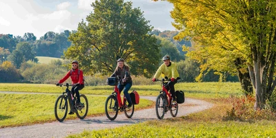 Das Lemmo One im Test – so ist es wirklich. Drei ältere Personen fahren mit Ihren Fahrrdäern über einen Radweg durch eine Wiese.