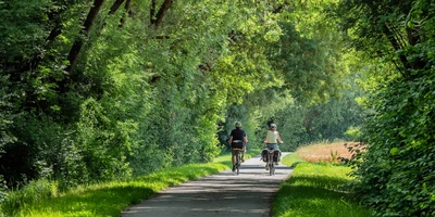 Zwei Radfahrer fahren auf einem Radweg durch einen Wald