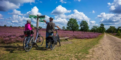 Zwei Radfahrer betrachten eine Wegweiser in blühender Heide
