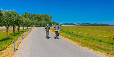 Zwei Radfahrer auf einem sonnigen Weg, umgeben von grünen Feldern und Bäumen.