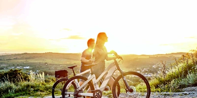 my Esel E-Cross Comfort