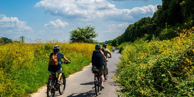 Fahrradfahrer auf einem sonnigen Weg, umgeben von bunten Blumen und grünem Gras.