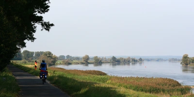 Radfahrer auf dem Oder-Neiße-Radweg entlang eines ruhigen Flusses mit grüner Ufervegetation.