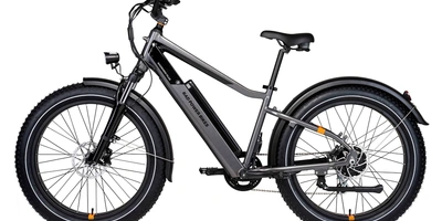 RadRhino 6 Plus im Test