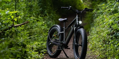 Das RadRhino 6 Plus – das Fatbike abseits geteerten Straßen