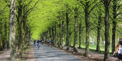 Ein Weg schöner als der andere für eine Radtour in Münster Fahrradfahren fahren auf einer Promenade in Münster