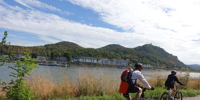 Radfahrer fahren am Rhein entlang auf Höhe des Drachenfelsens