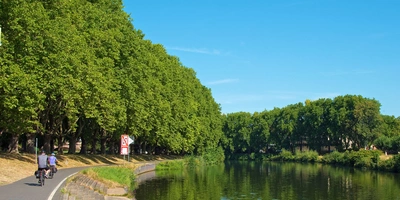 Ein sonniger Tag am Fluss, umgeben von grünen Bäumen und Radfahrern am Ufer.