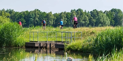 Menschen fahren mit dem Fahrrad durch den Spreewald neben einem Gewässer, umgeben von üppigem Grün.