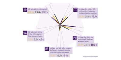 Bike Sturzschaden Statistik