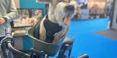 Ein Sitz für Hunde von kvisp soll bald erhältlich sein Hundetransportmöglichkeit mit dem Fahrrad
